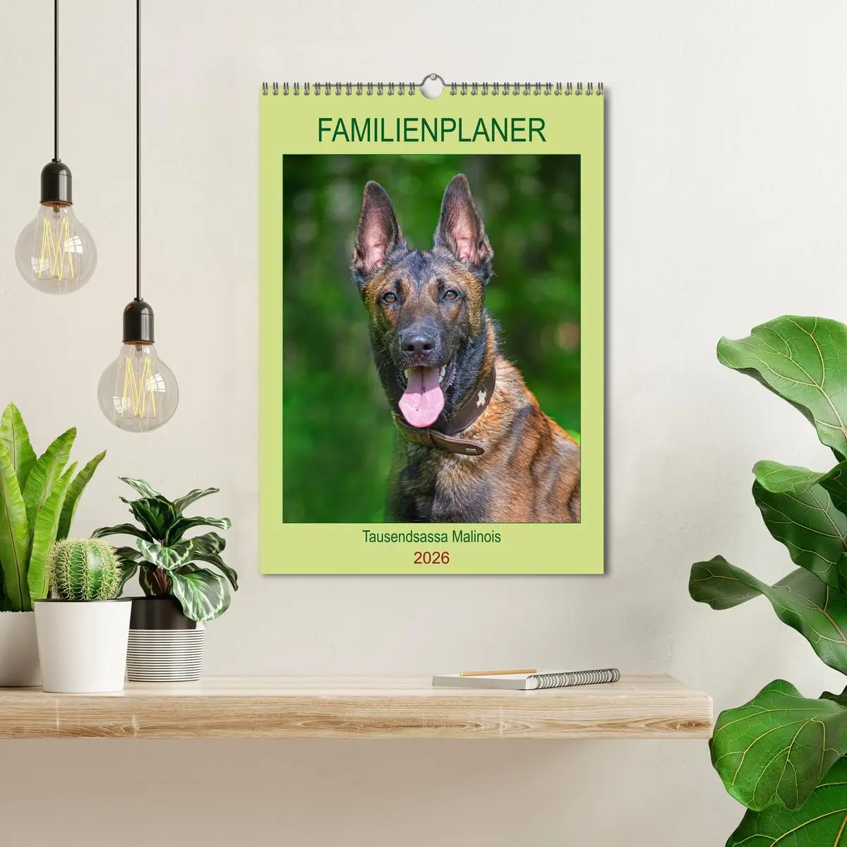 Bild: 9783516387551 | Familienplaner Tausendsassa Malinois (Wandkalender 2026 DIN A3...