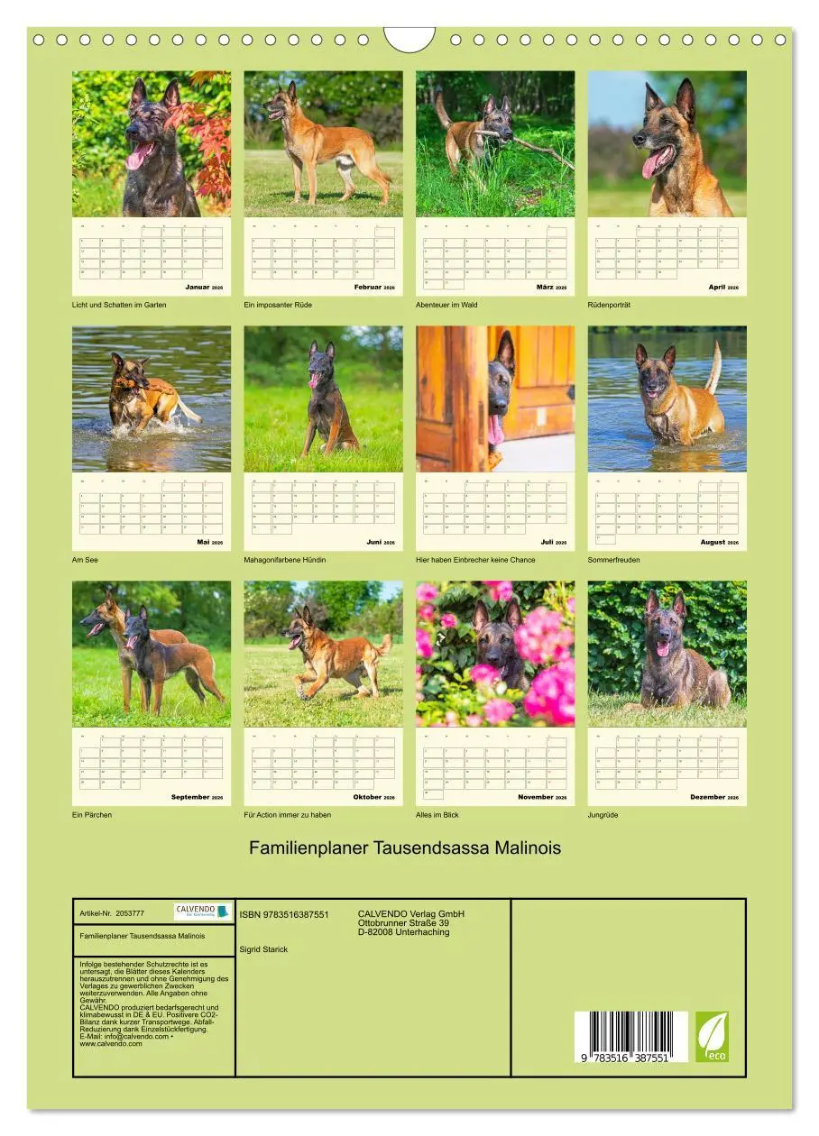 Bild: 9783516387551 | Familienplaner Tausendsassa Malinois (Wandkalender 2026 DIN A3...