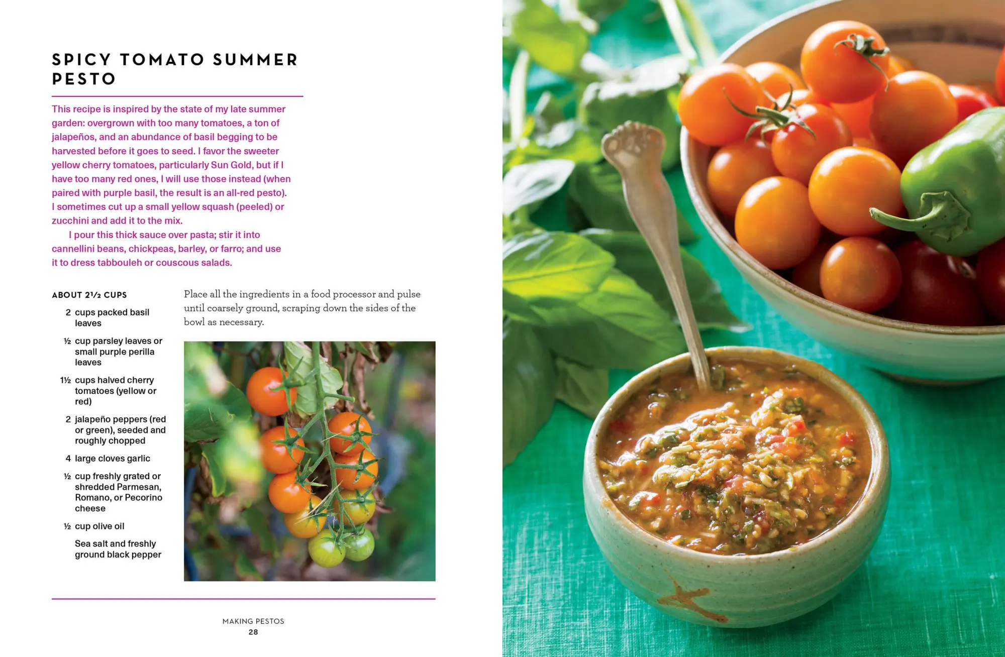 Bild: 9781612127651 | The Pesto Cookbook | Olwen Woodier | Taschenbuch | Englisch | 2018