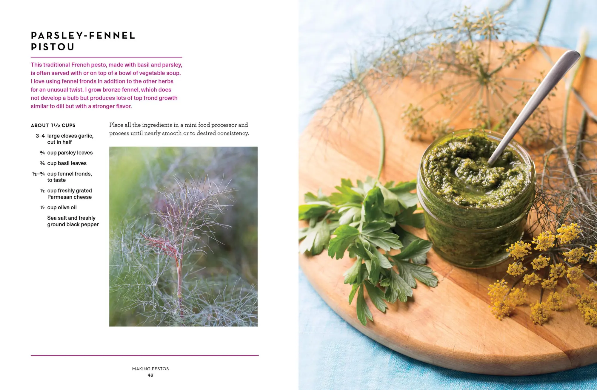 Bild: 9781612127651 | The Pesto Cookbook | Olwen Woodier | Taschenbuch | Englisch | 2018