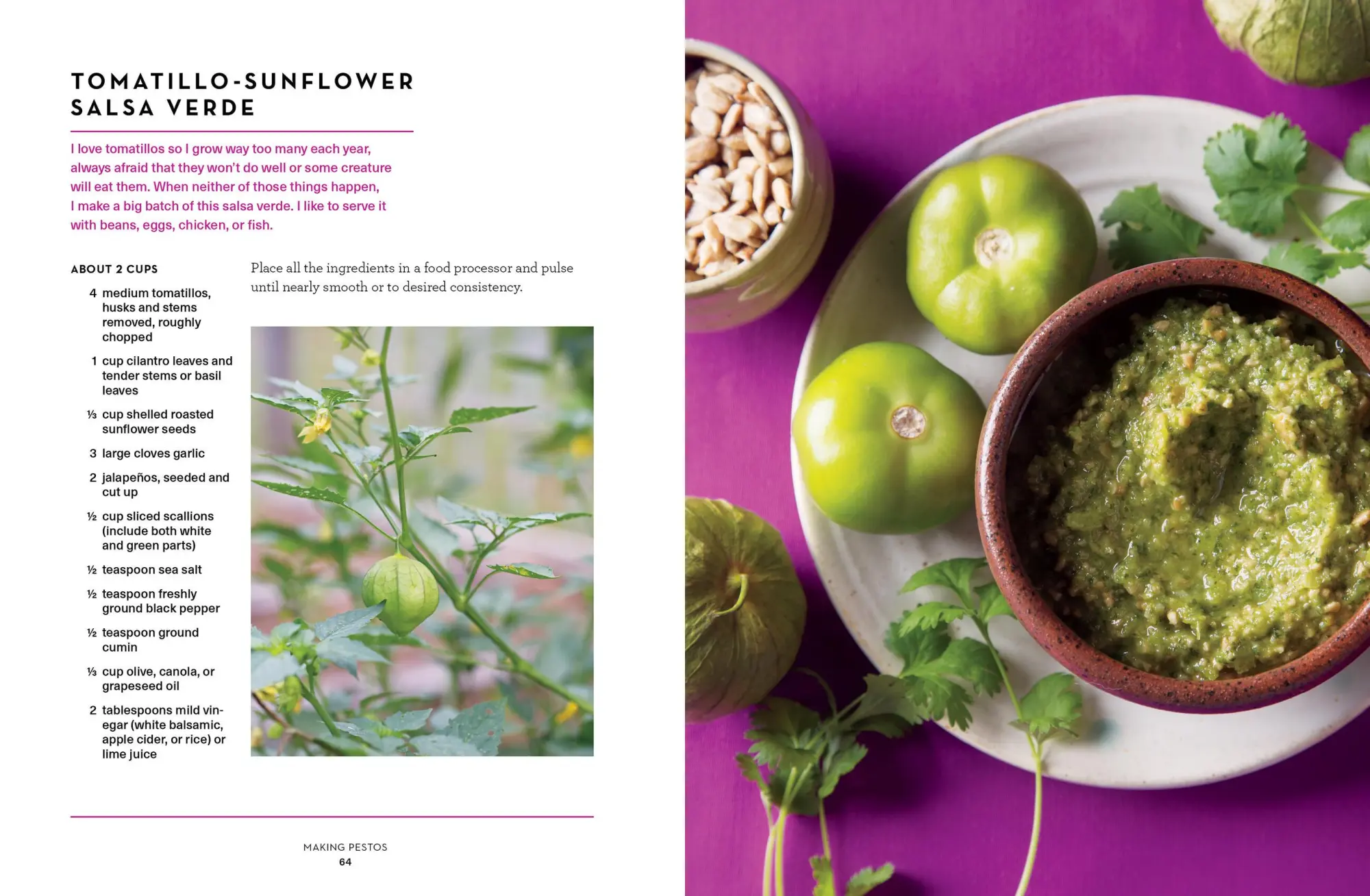 Bild: 9781612127651 | The Pesto Cookbook | Olwen Woodier | Taschenbuch | Englisch | 2018