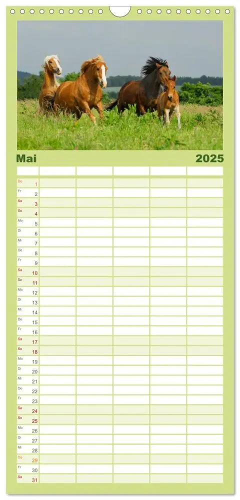 Bild: 9783457117651 | Familienplaner 2025 - Welt der Pferde mit 5 Spalten (Wandkalender,...