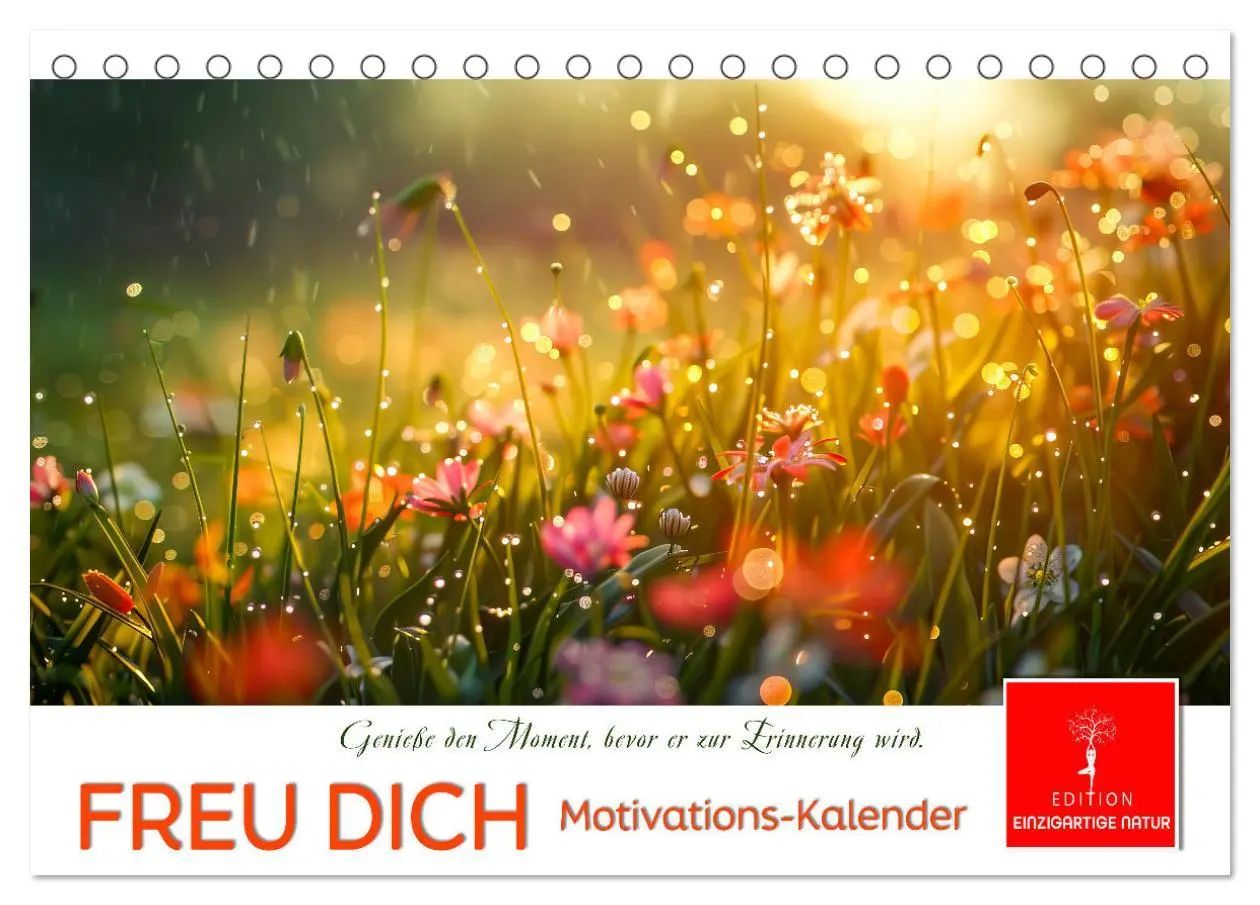 Cover: 9783457427651 | Freu Dich Motivations-Kalender (Tischkalender 2026 DIN A5 quer),...