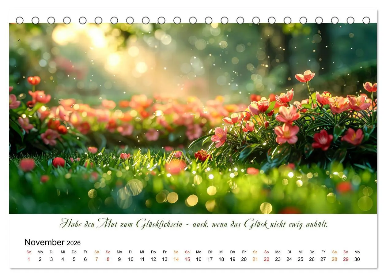 Bild: 9783457427651 | Freu Dich Motivations-Kalender (Tischkalender 2026 DIN A5 quer),...