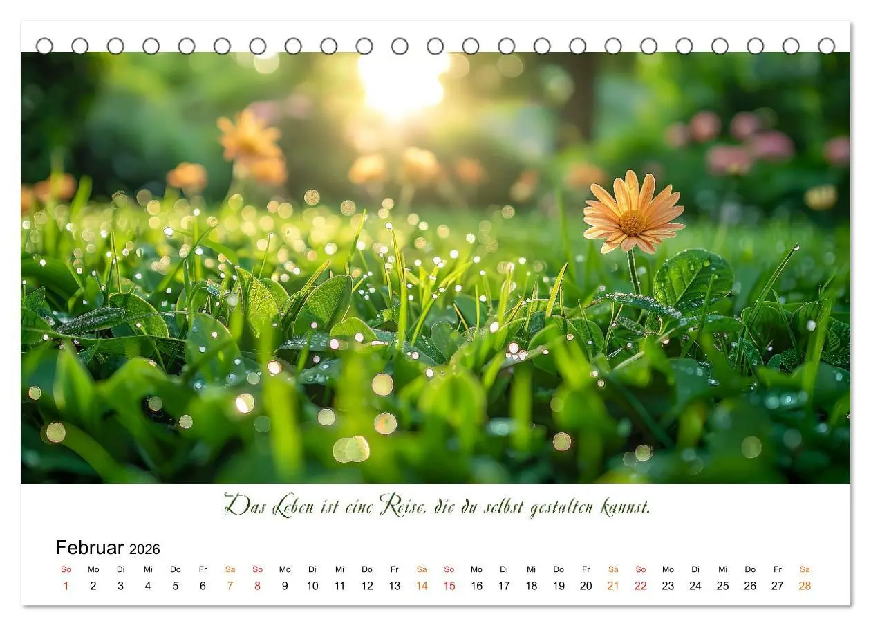 Bild: 9783457427651 | Freu Dich Motivations-Kalender (Tischkalender 2026 DIN A5 quer),...