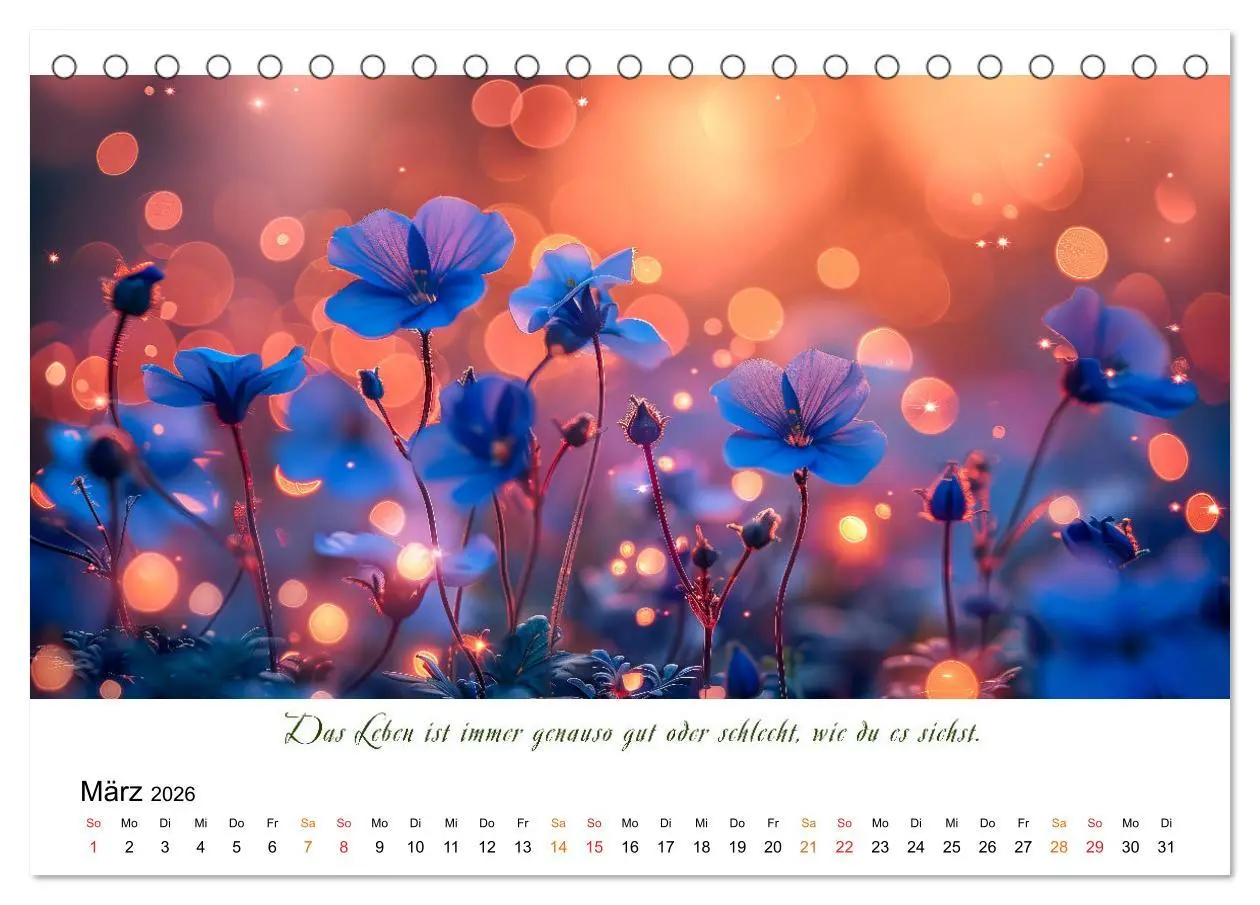 Bild: 9783457427651 | Freu Dich Motivations-Kalender (Tischkalender 2026 DIN A5 quer),...