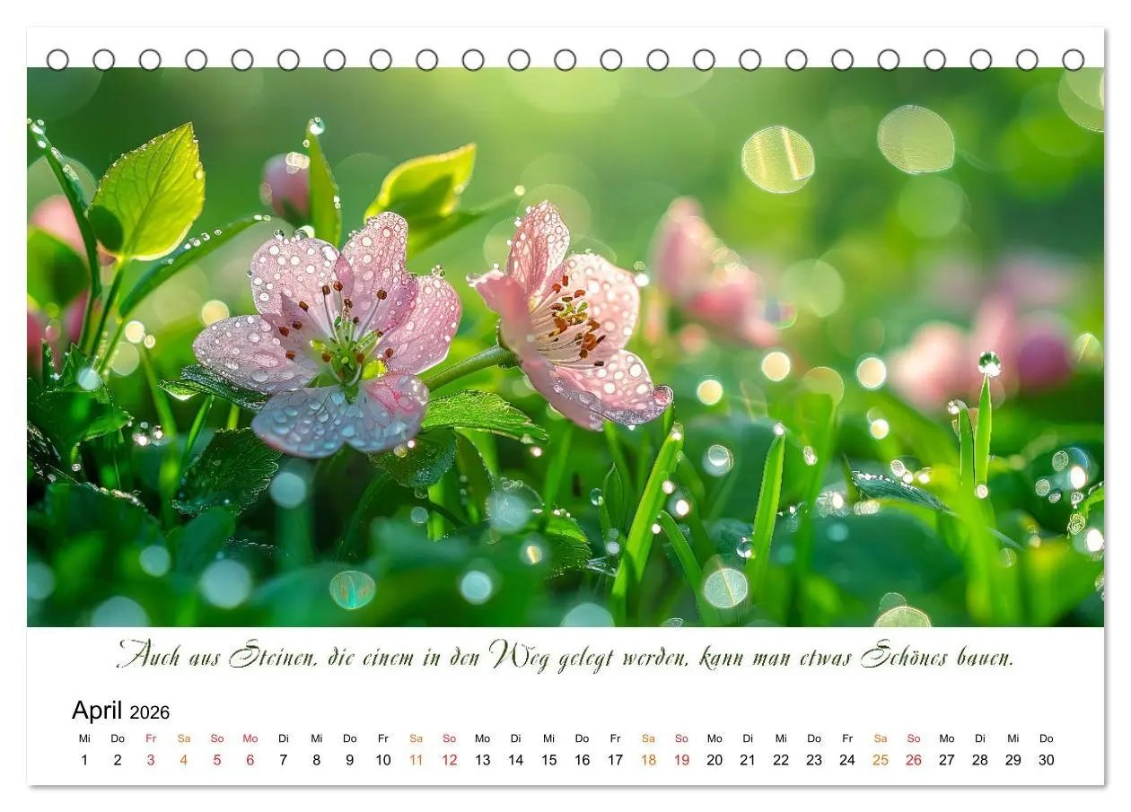 Bild: 9783457427651 | Freu Dich Motivations-Kalender (Tischkalender 2026 DIN A5 quer),...