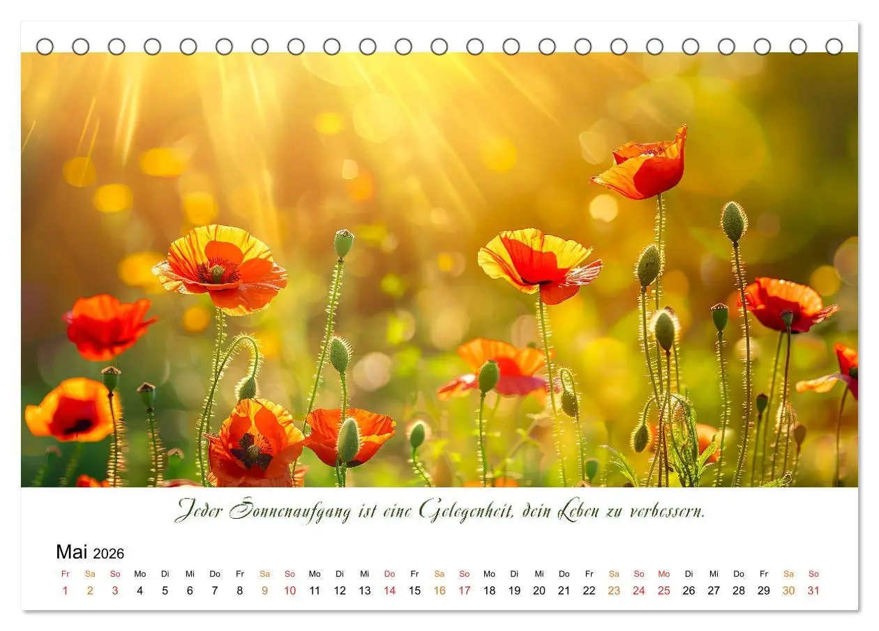 Bild: 9783457427651 | Freu Dich Motivations-Kalender (Tischkalender 2026 DIN A5 quer),...