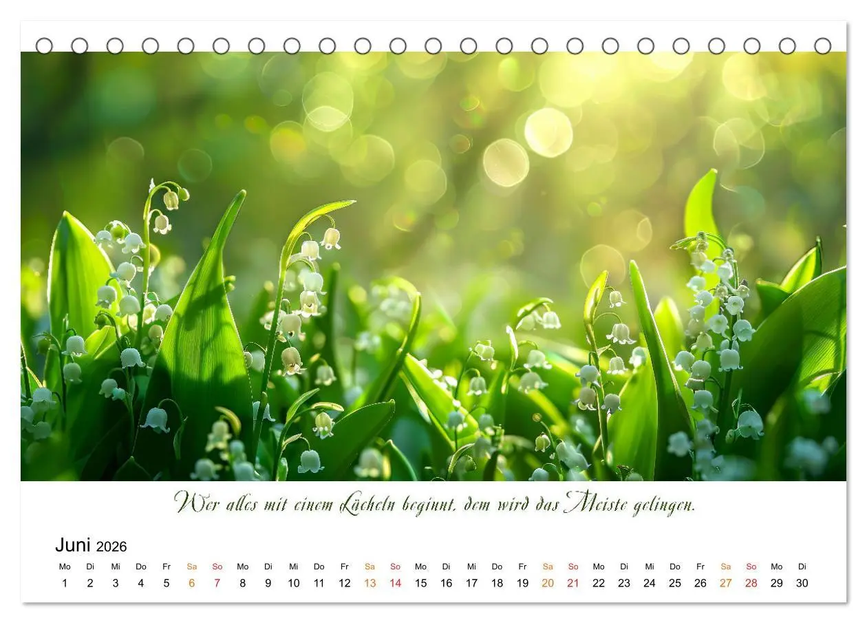 Bild: 9783457427651 | Freu Dich Motivations-Kalender (Tischkalender 2026 DIN A5 quer),...