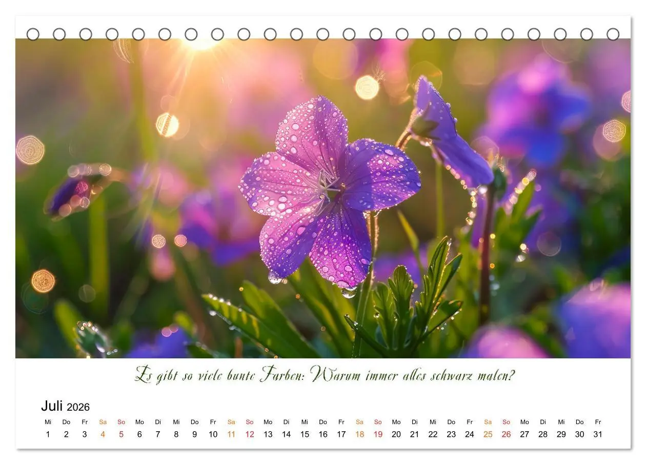 Bild: 9783457427651 | Freu Dich Motivations-Kalender (Tischkalender 2026 DIN A5 quer),...