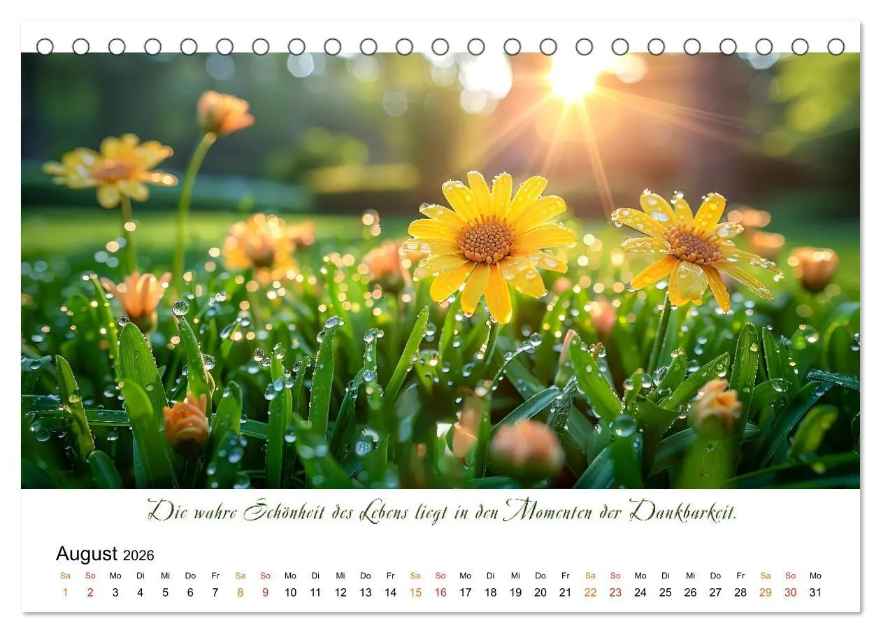 Bild: 9783457427651 | Freu Dich Motivations-Kalender (Tischkalender 2026 DIN A5 quer),...