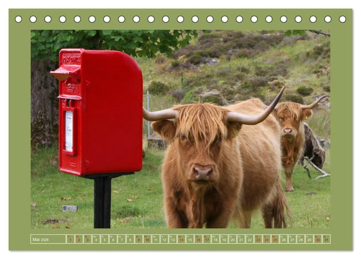 Bild: 9783457737651 | Sie haben Post - Briefkästen in Schottland (Tischkalender 2026 DIN...