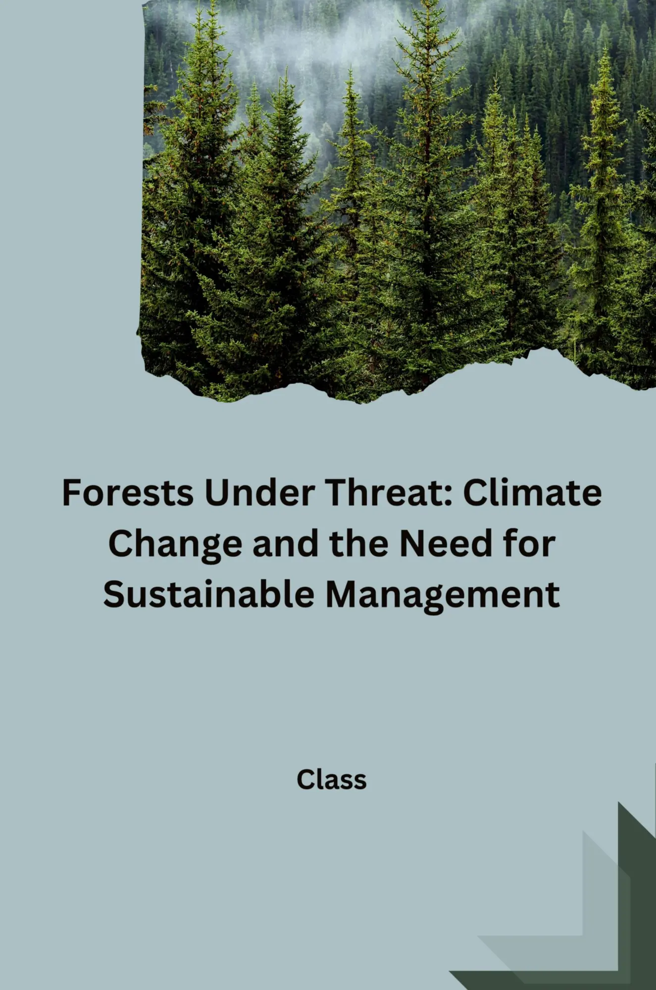 Forests Under Threat Climate Change and the Need for Sustainable Management - Class Kartoniert (TB)