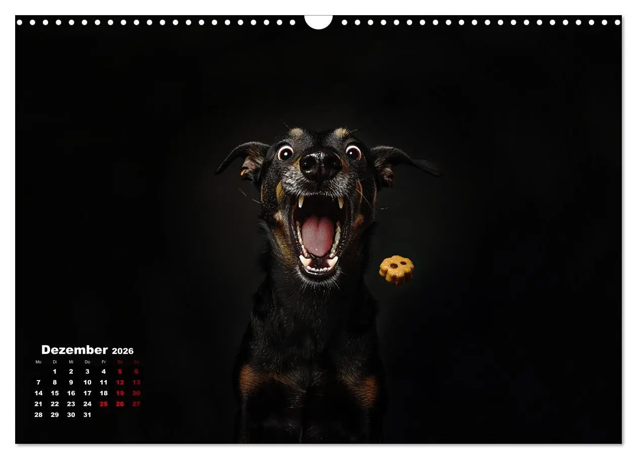 Bild: 9783457347751 | Leckerchen! (Wandkalender 2026 DIN A3 quer), CALVENDO Monatskalender