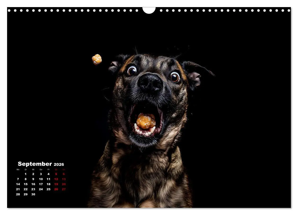 Bild: 9783457347751 | Leckerchen! (Wandkalender 2026 DIN A3 quer), CALVENDO Monatskalender
