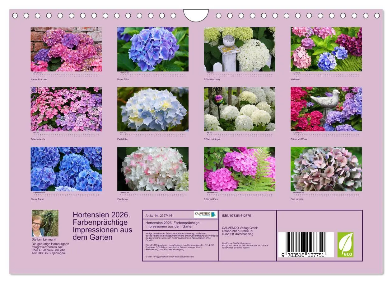 Bild: 9783516127751 | Hortensien 2026. Farbenprächtige Impressionen aus dem Garten...