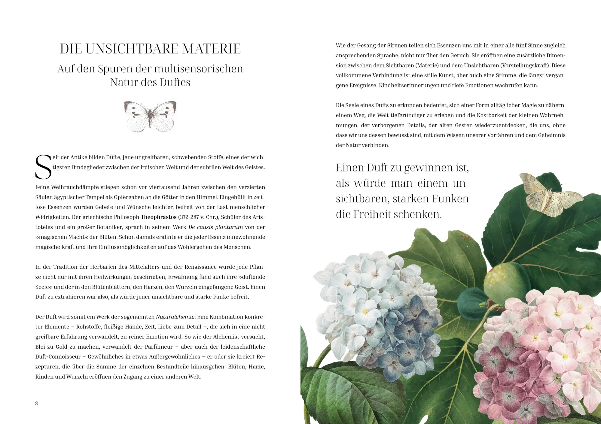 Bild: 9788863127751 | Im Reich der Düfte | Caterina Roncati | Buch | 160 S. | Deutsch | 2026