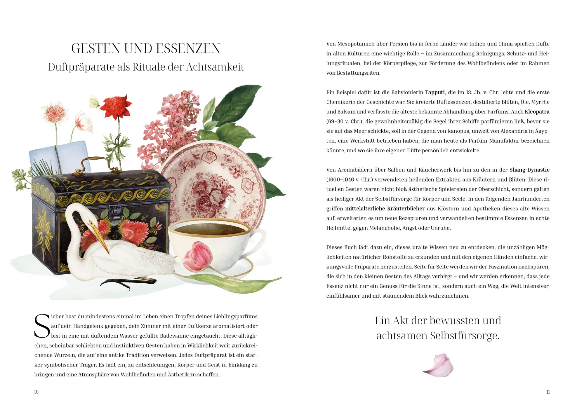 Bild: 9788863127751 | Im Reich der Düfte | Caterina Roncati | Buch | 160 S. | Deutsch | 2026