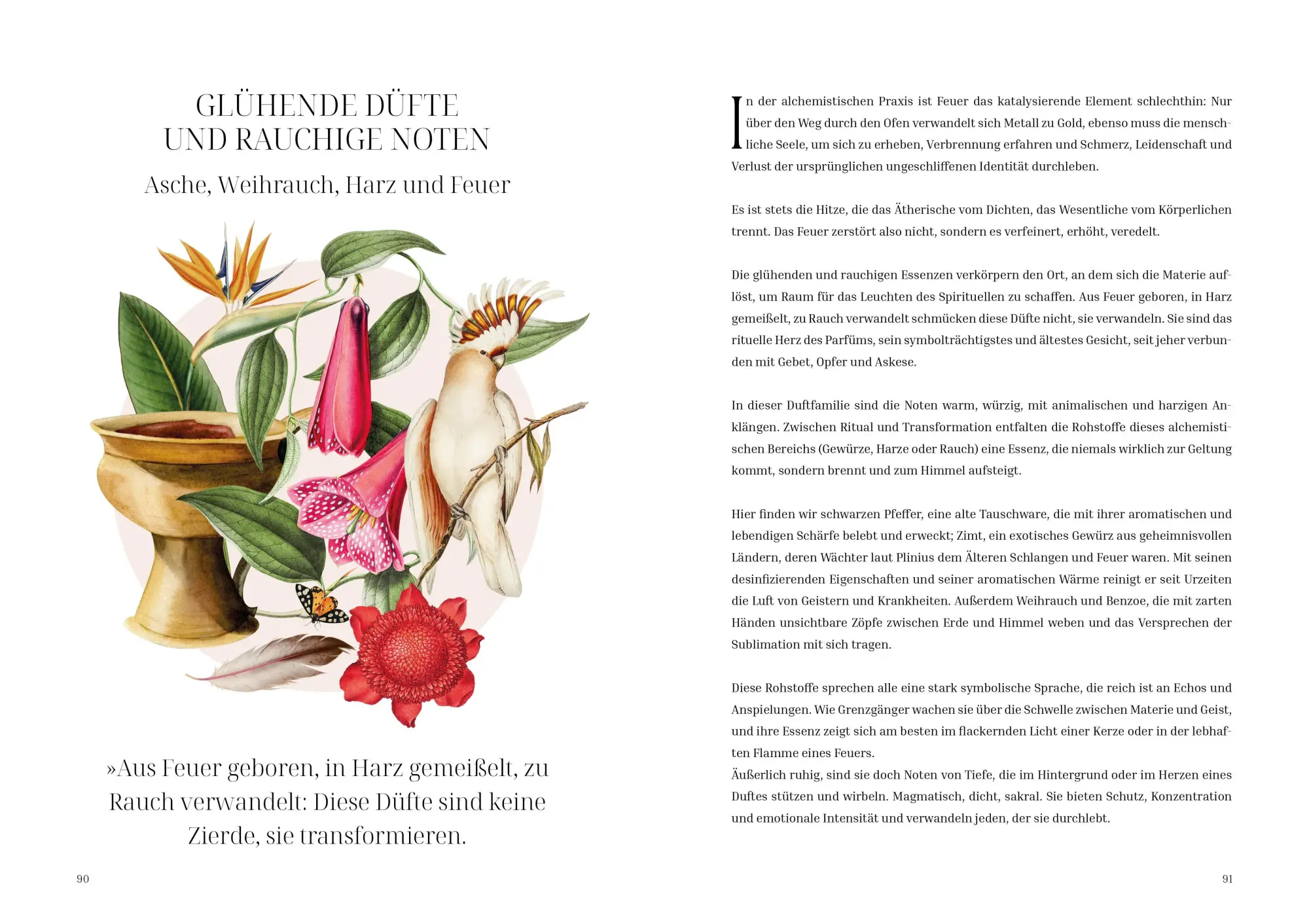 Bild: 9788863127751 | Im Reich der Düfte | Caterina Roncati | Buch | 160 S. | Deutsch | 2026