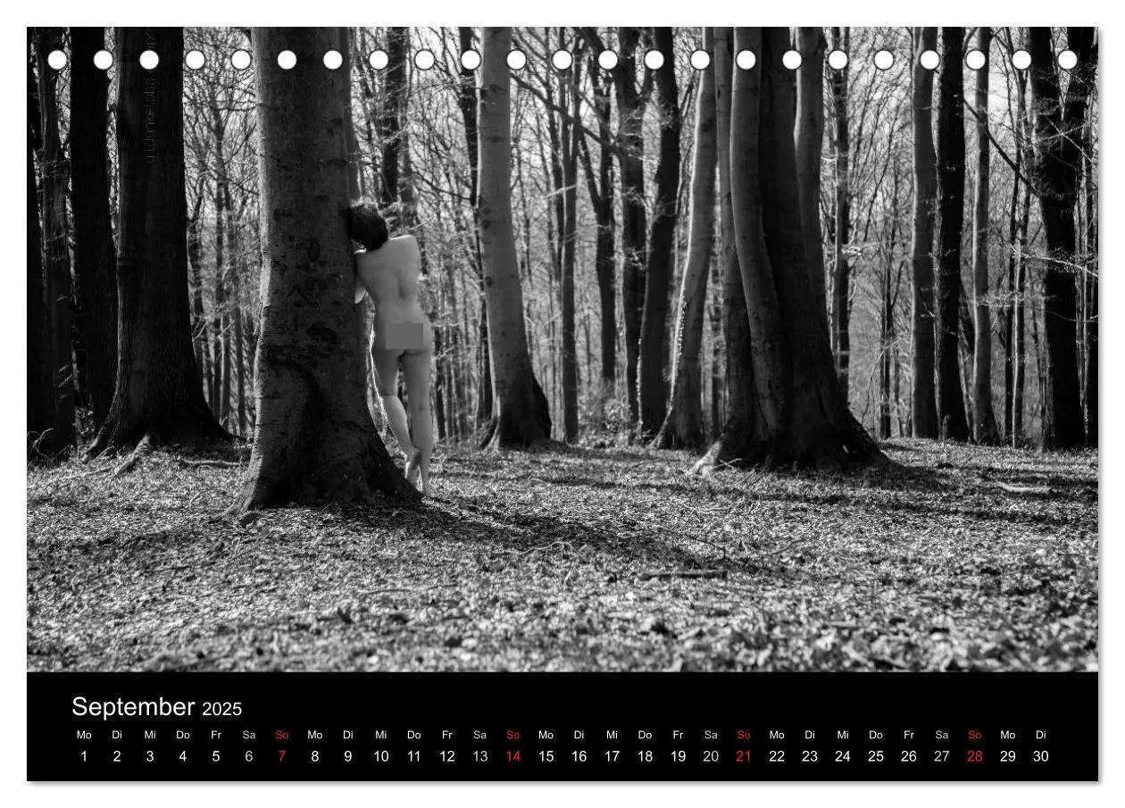 Bild: 9783435557851 | Weibsbilder (Tischkalender 2025 DIN A5 quer), CALVENDO Monatskalender