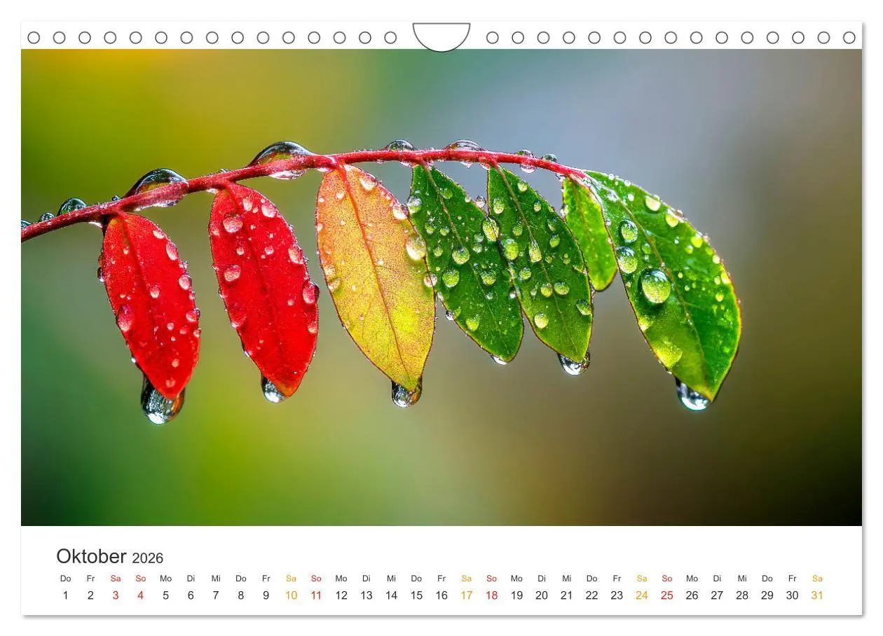 Bild: 9783457267851 | Zauber der Tropfen (Wandkalender 2026 DIN A4 quer), CALVENDO...