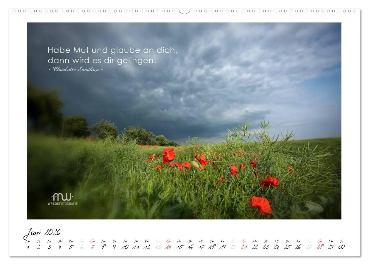 Bild: 9783516117851 | Gedanken... Bildkalender mit Sprüchen (Wandkalender 2026 DIN A2...