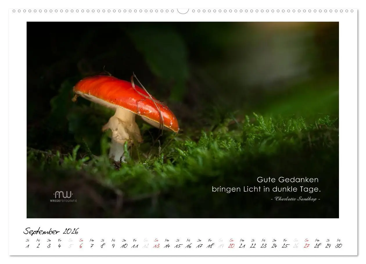 Bild: 9783516117851 | Gedanken... Bildkalender mit Sprüchen (Wandkalender 2026 DIN A2...