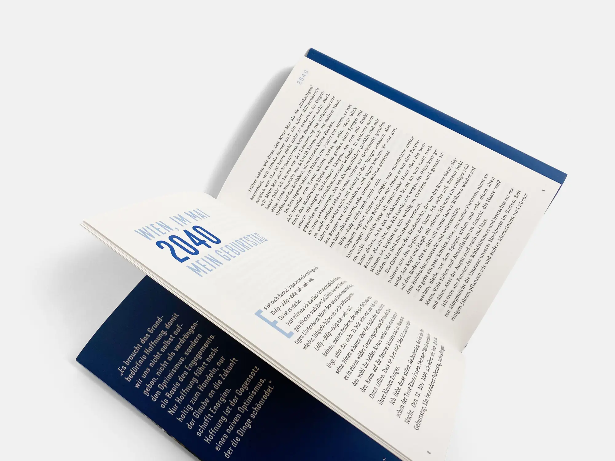 Bild: 9783710607851 | Wie wir uns die Zukunft zurückholen | Rudi Anschober | Buch | 208 S.