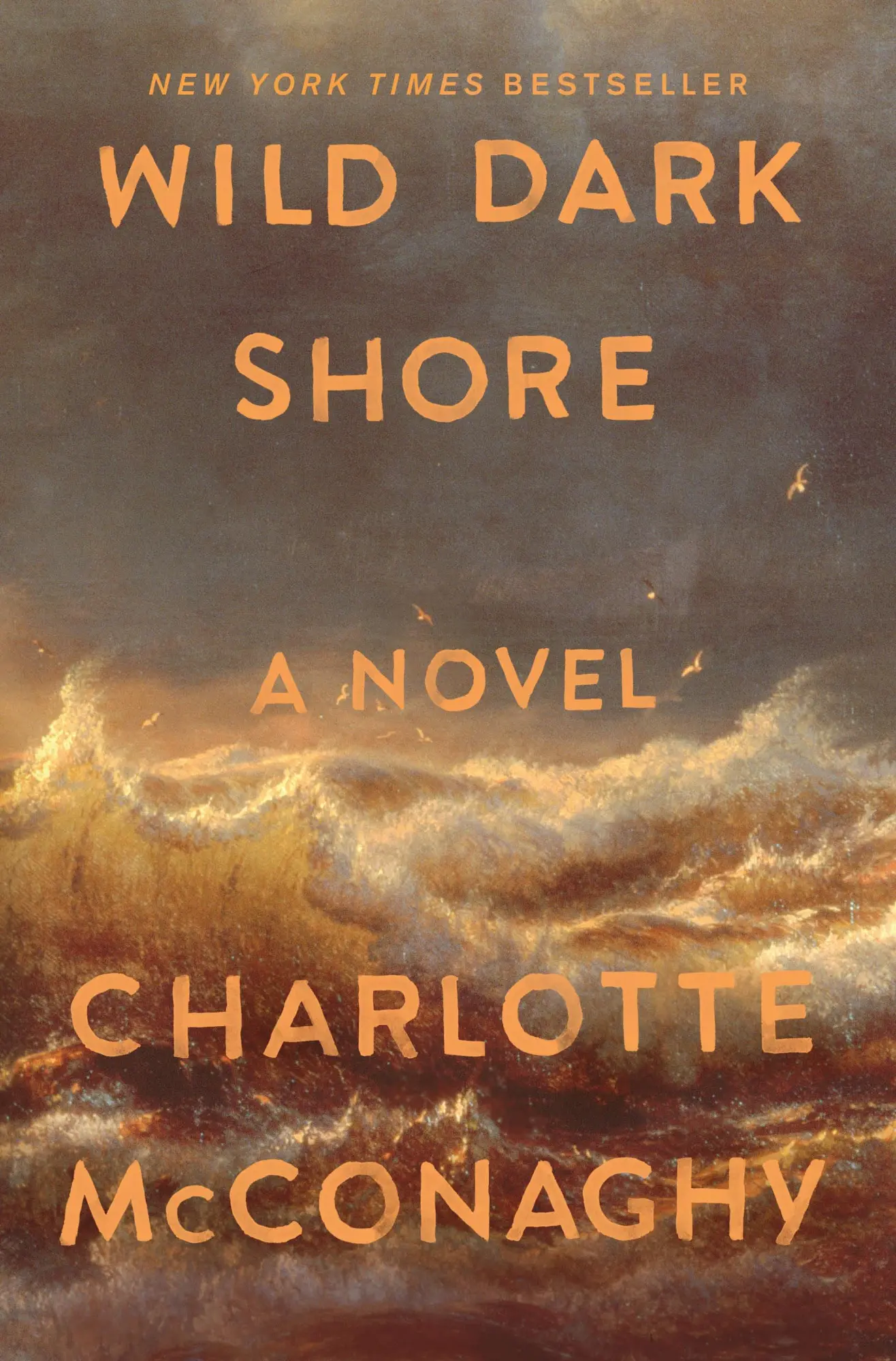 Cover: 9781250827951 | Wild Dark Shore | A Novel | Charlotte McConaghy | Buch | 320 S. | 2025