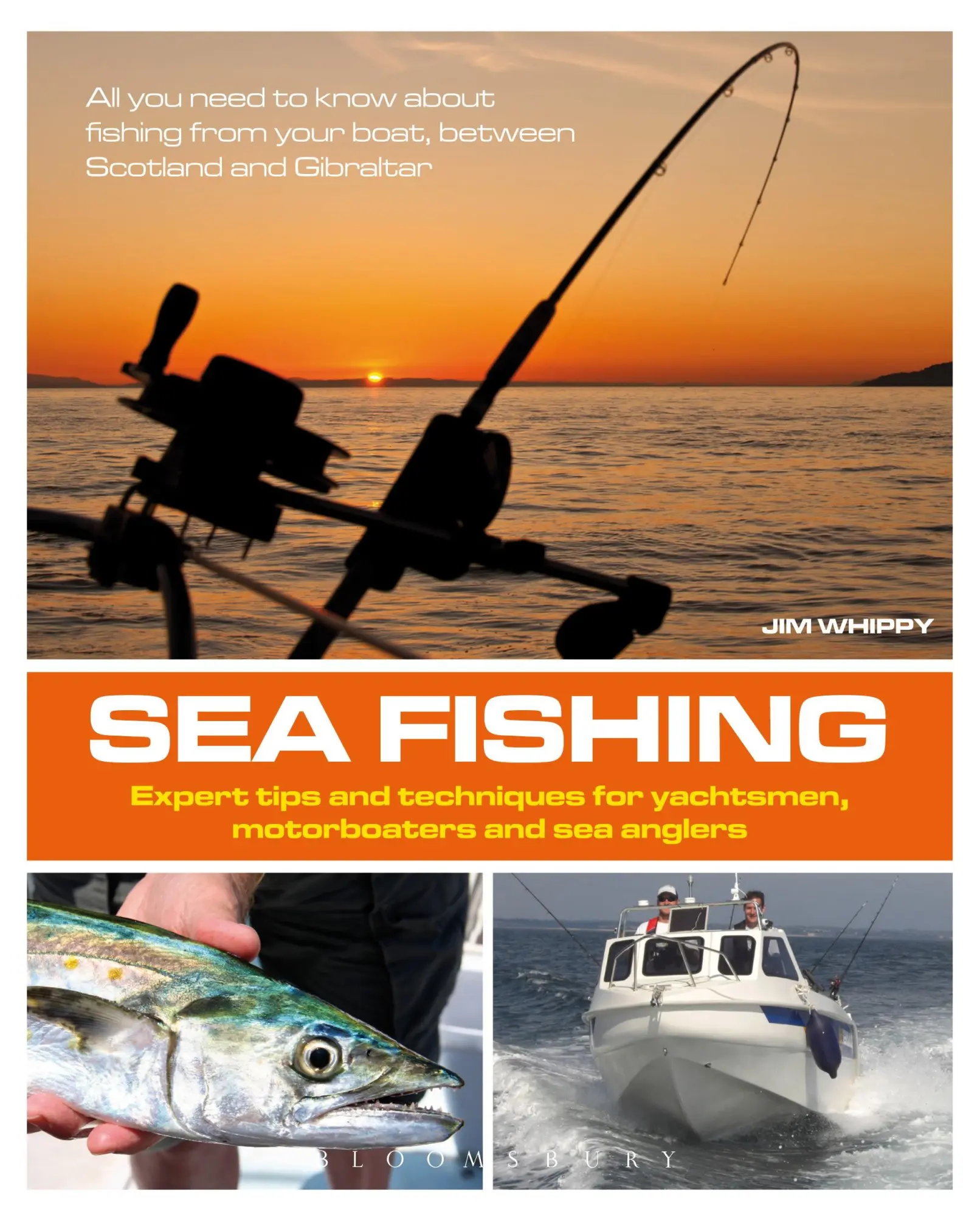 Cover: 9781408187951 | Sea Fishing | Jim Whippy | Taschenbuch | Kartoniert / Broschiert