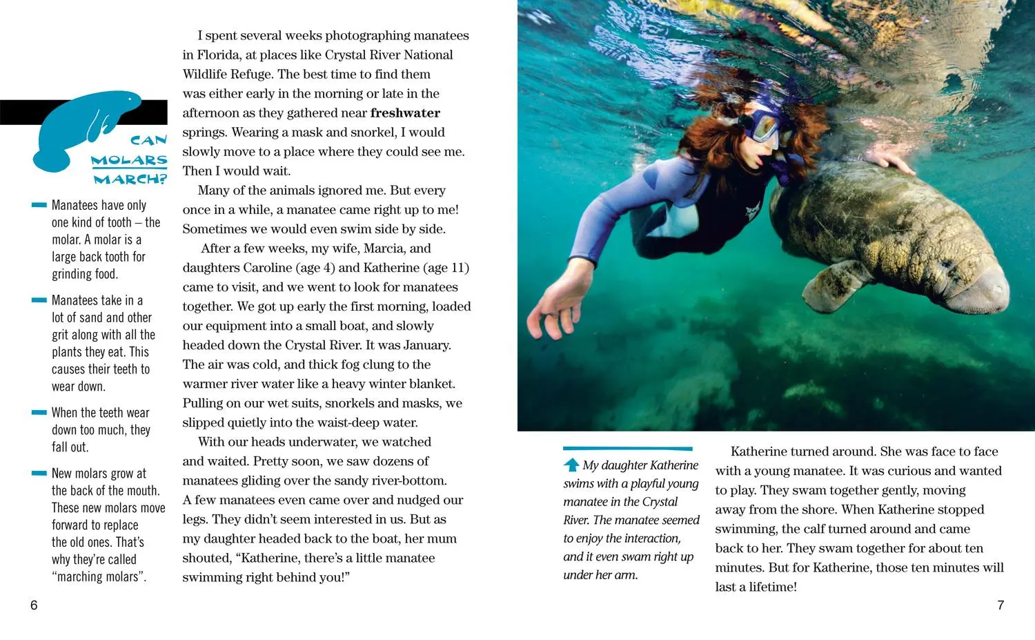 Bild: 9780008358051 | Face to Face with Manatees | Level 5 | Brian Skerry | Taschenbuch