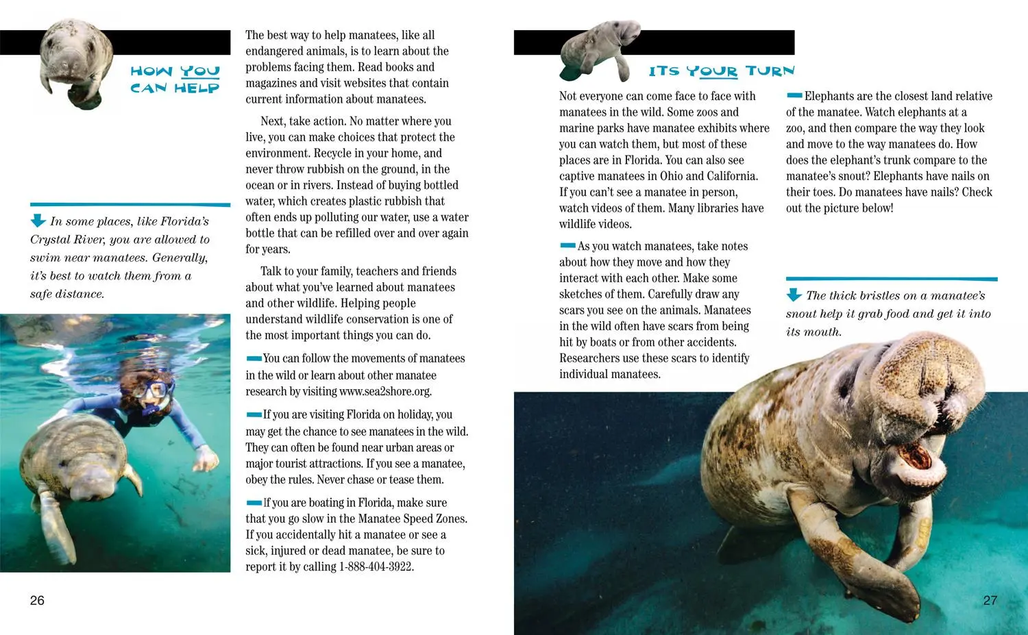 Bild: 9780008358051 | Face to Face with Manatees | Level 5 | Brian Skerry | Taschenbuch