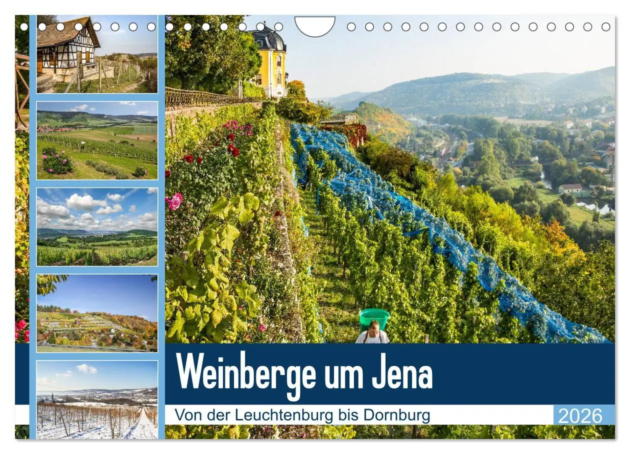 Cover: 9783457908051 | Weinberge um Jena (Wandkalender 2026 DIN A4 quer), CALVENDO...