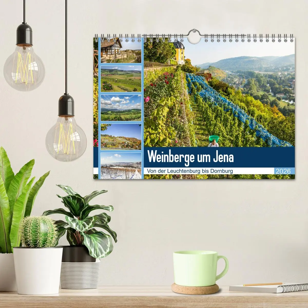 Bild: 9783457908051 | Weinberge um Jena (Wandkalender 2026 DIN A4 quer), CALVENDO...