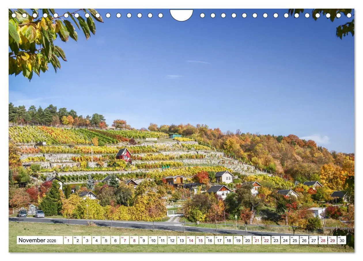 Bild: 9783457908051 | Weinberge um Jena (Wandkalender 2026 DIN A4 quer), CALVENDO...