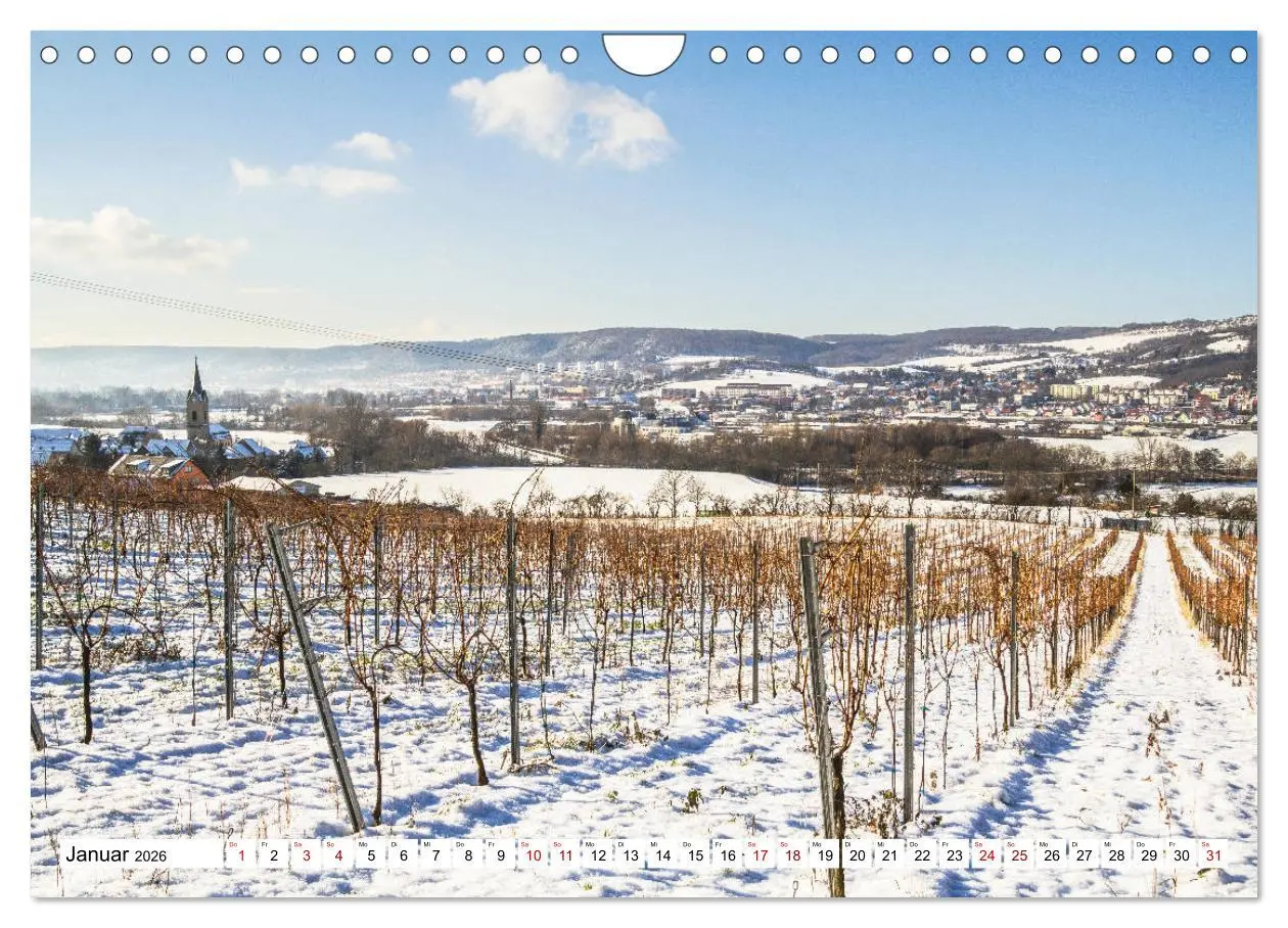 Bild: 9783457908051 | Weinberge um Jena (Wandkalender 2026 DIN A4 quer), CALVENDO...