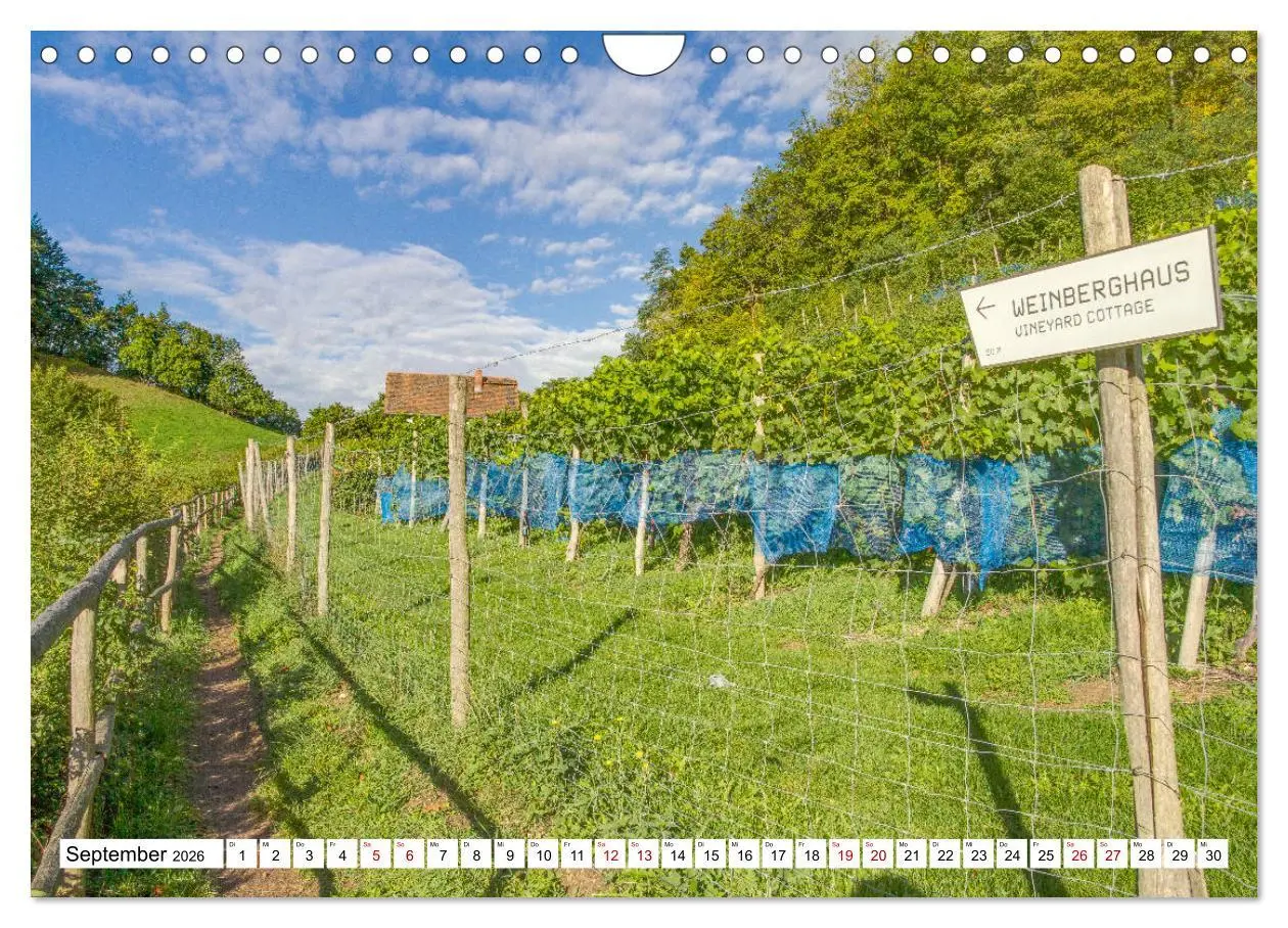 Bild: 9783457908051 | Weinberge um Jena (Wandkalender 2026 DIN A4 quer), CALVENDO...
