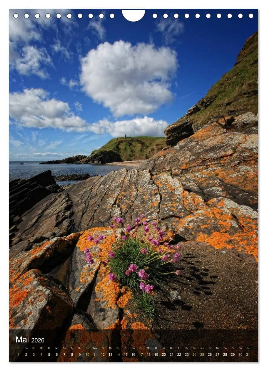 Bild: 9783516478051 | Traumhaftes Schottland (Wandkalender 2026 DIN A4 hoch), CALVENDO...