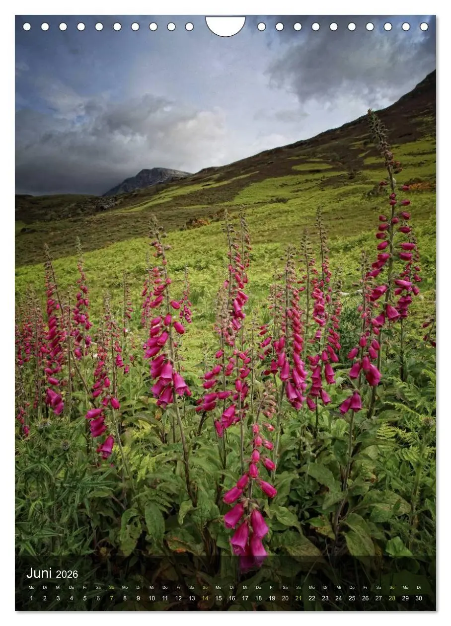 Bild: 9783516478051 | Traumhaftes Schottland (Wandkalender 2026 DIN A4 hoch), CALVENDO...