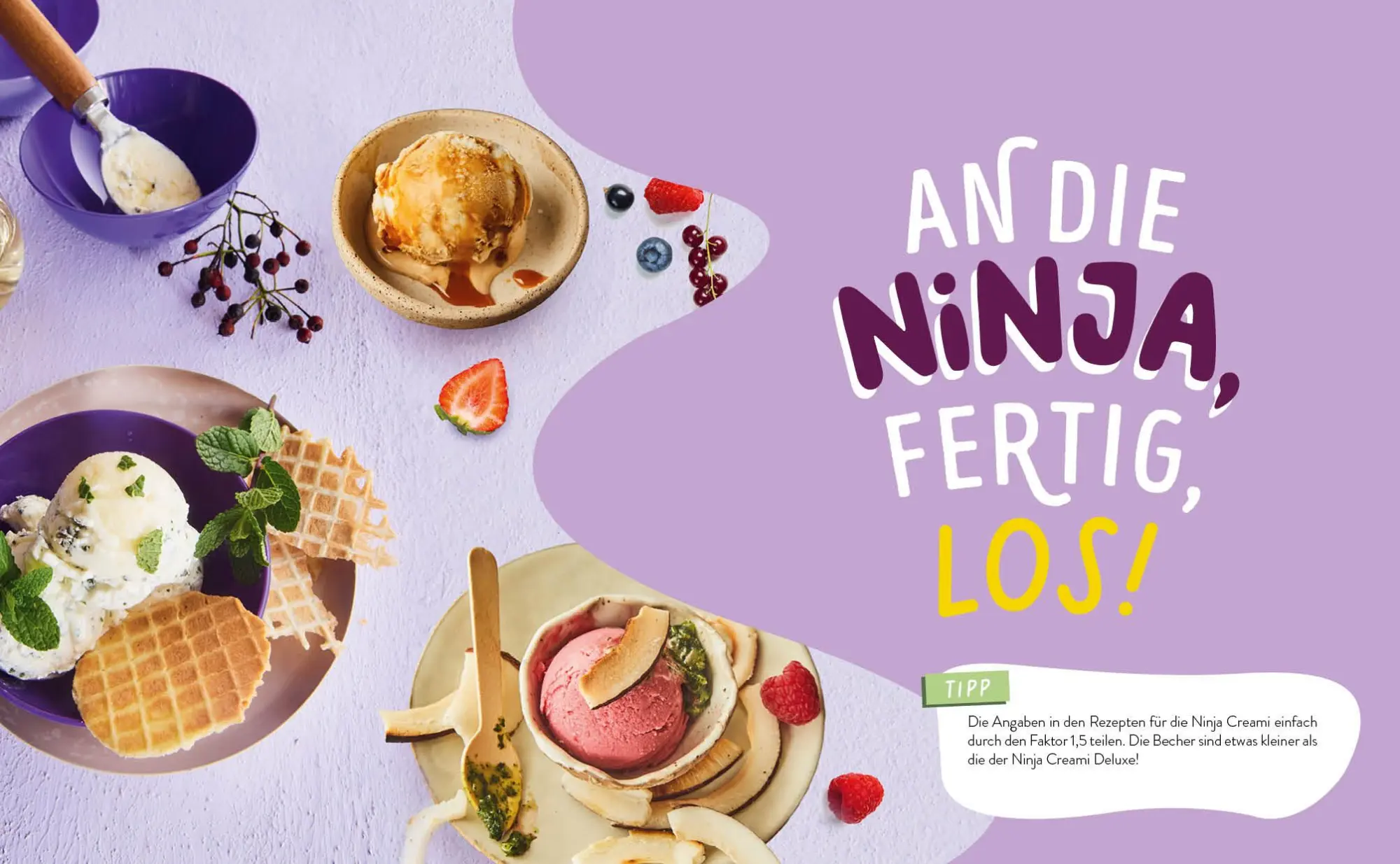 Bild: 9783745928051 | Make it Creami Ultimative Eis-Rezepte für die Ninja-Eismaschine | Buch