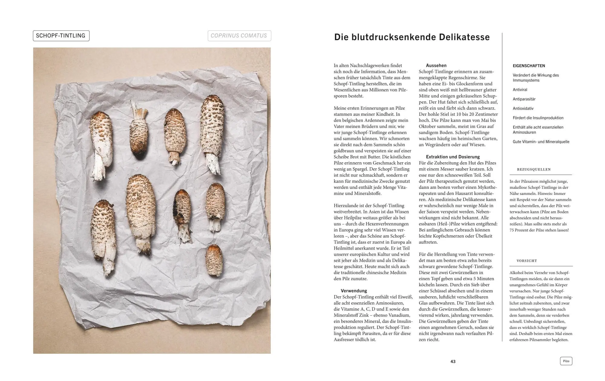 Bild: 9783833898051 | Pflanzenkraft | Wouter Bijdendijk (u. a.) | Buch | GU Kräuter | 264 S.