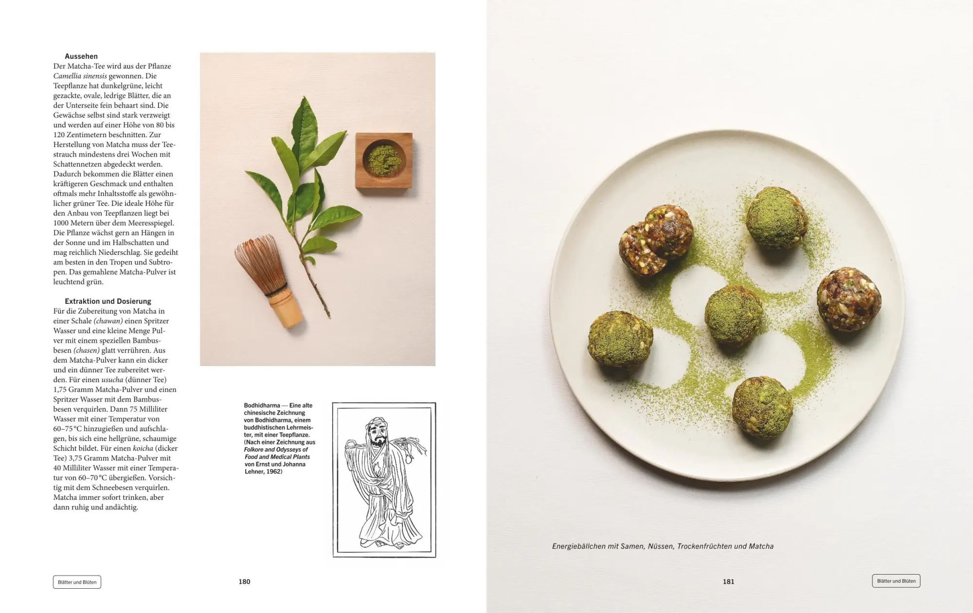 Bild: 9783833898051 | Pflanzenkraft | Wouter Bijdendijk (u. a.) | Buch | GU Kräuter | 264 S.