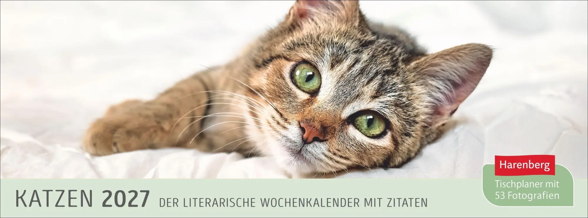 Cover: 9783840038051 | Katzen Premium-Tischplaner 2027 - Der literarische Wochenkalender...