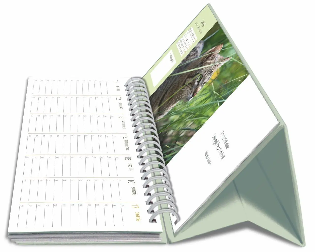 Bild: 9783840038051 | Katzen Premium-Tischplaner 2027 - Der literarische Wochenkalender...