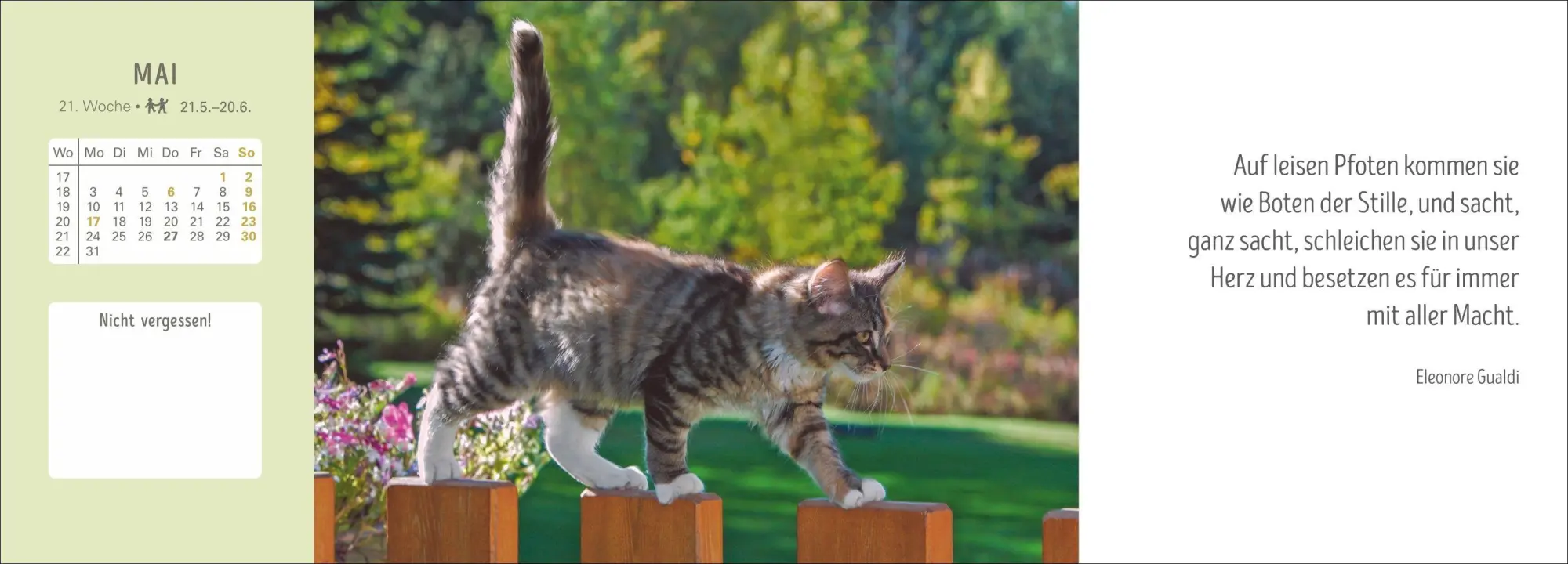 Bild: 9783840038051 | Katzen Premium-Tischplaner 2027 - Der literarische Wochenkalender...
