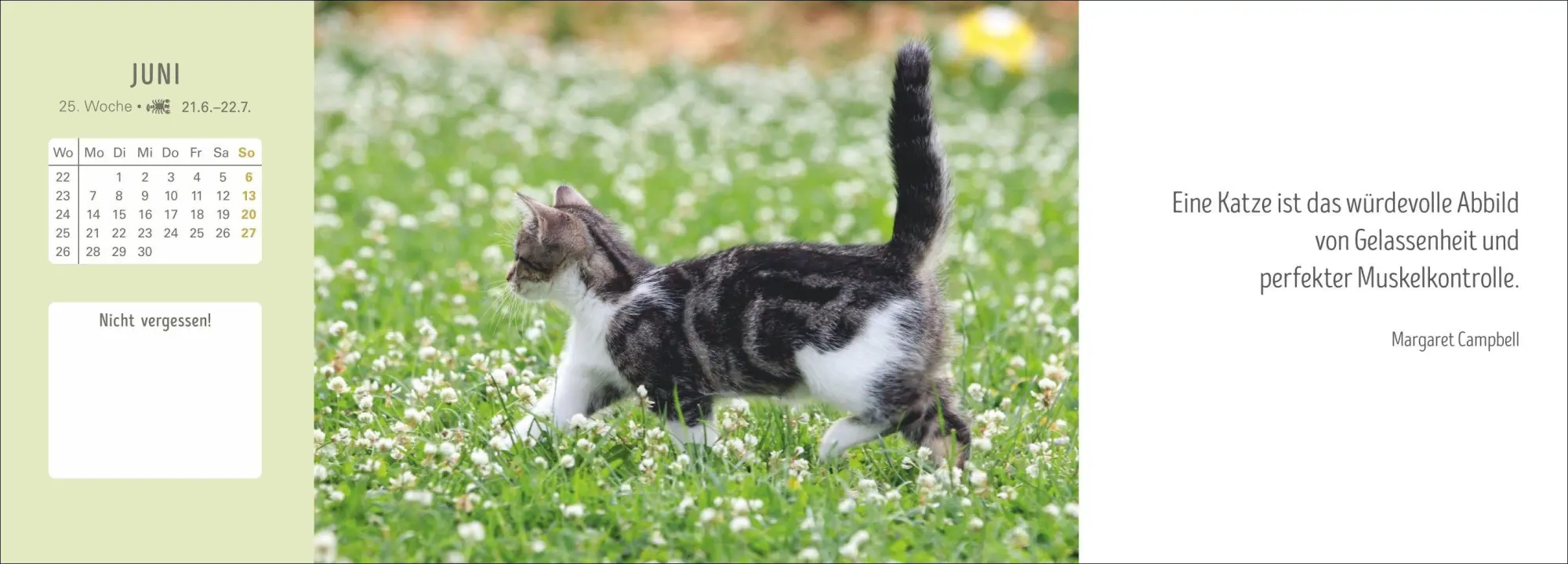 Bild: 9783840038051 | Katzen Premium-Tischplaner 2027 - Der literarische Wochenkalender...