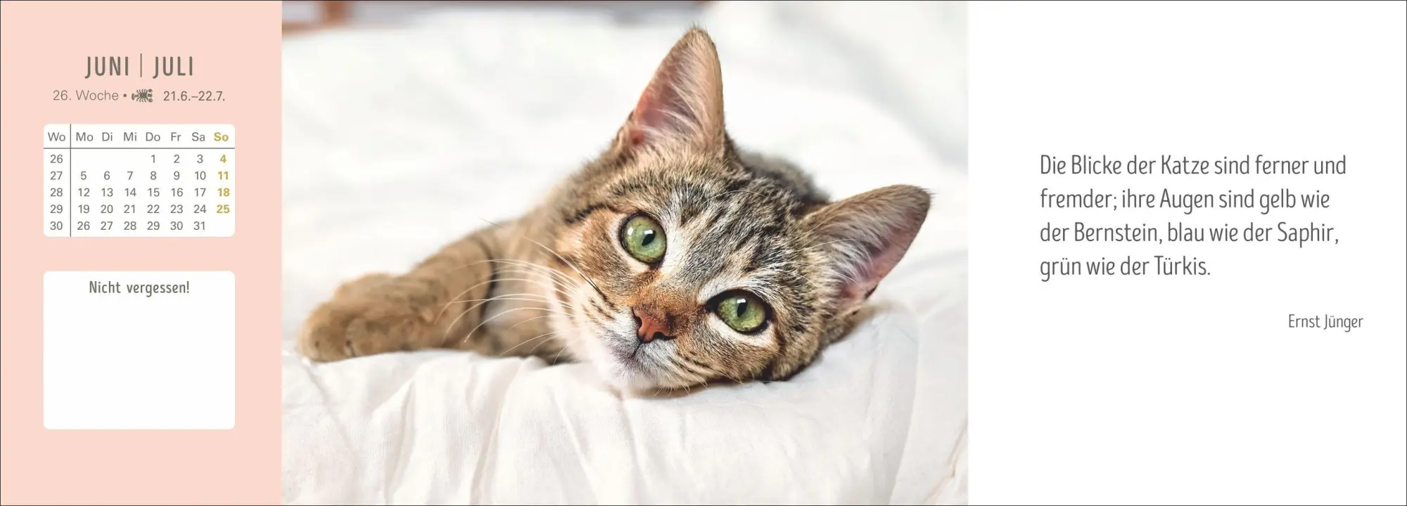 Bild: 9783840038051 | Katzen Premium-Tischplaner 2027 - Der literarische Wochenkalender...