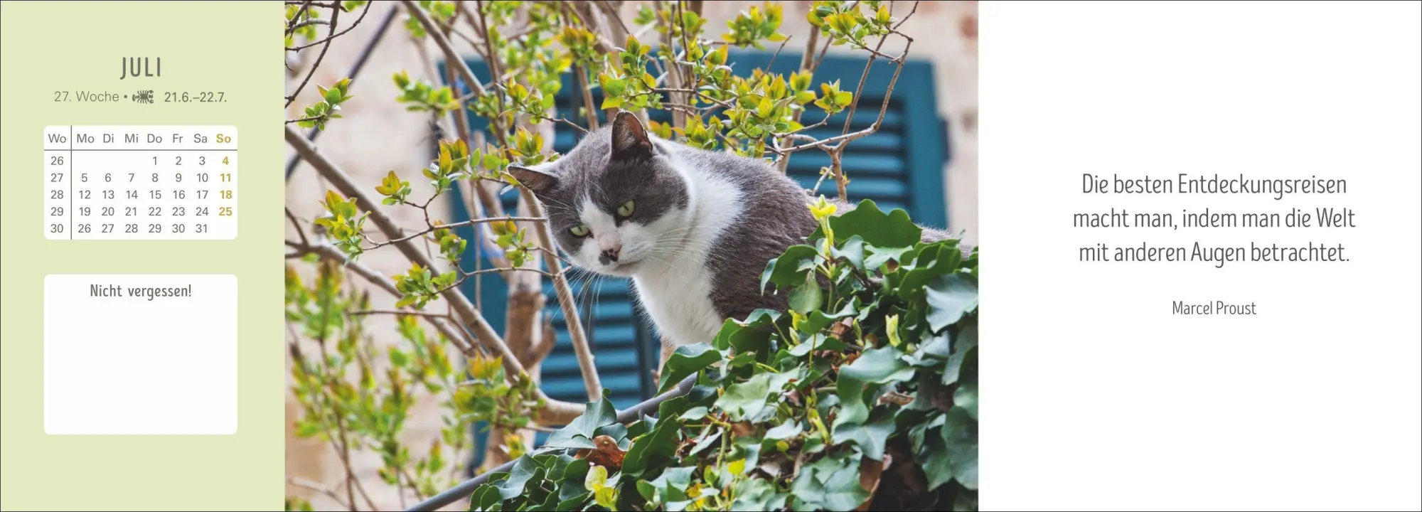 Bild: 9783840038051 | Katzen Premium-Tischplaner 2027 - Der literarische Wochenkalender...
