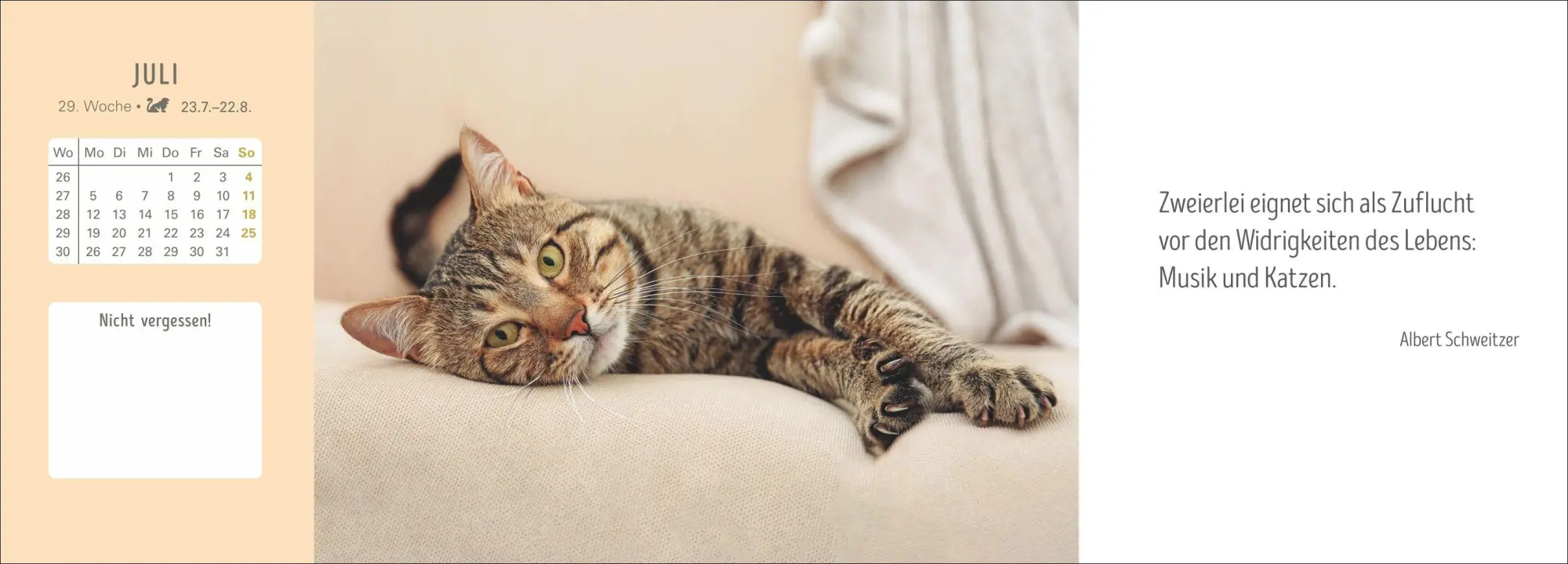 Bild: 9783840038051 | Katzen Premium-Tischplaner 2027 - Der literarische Wochenkalender...