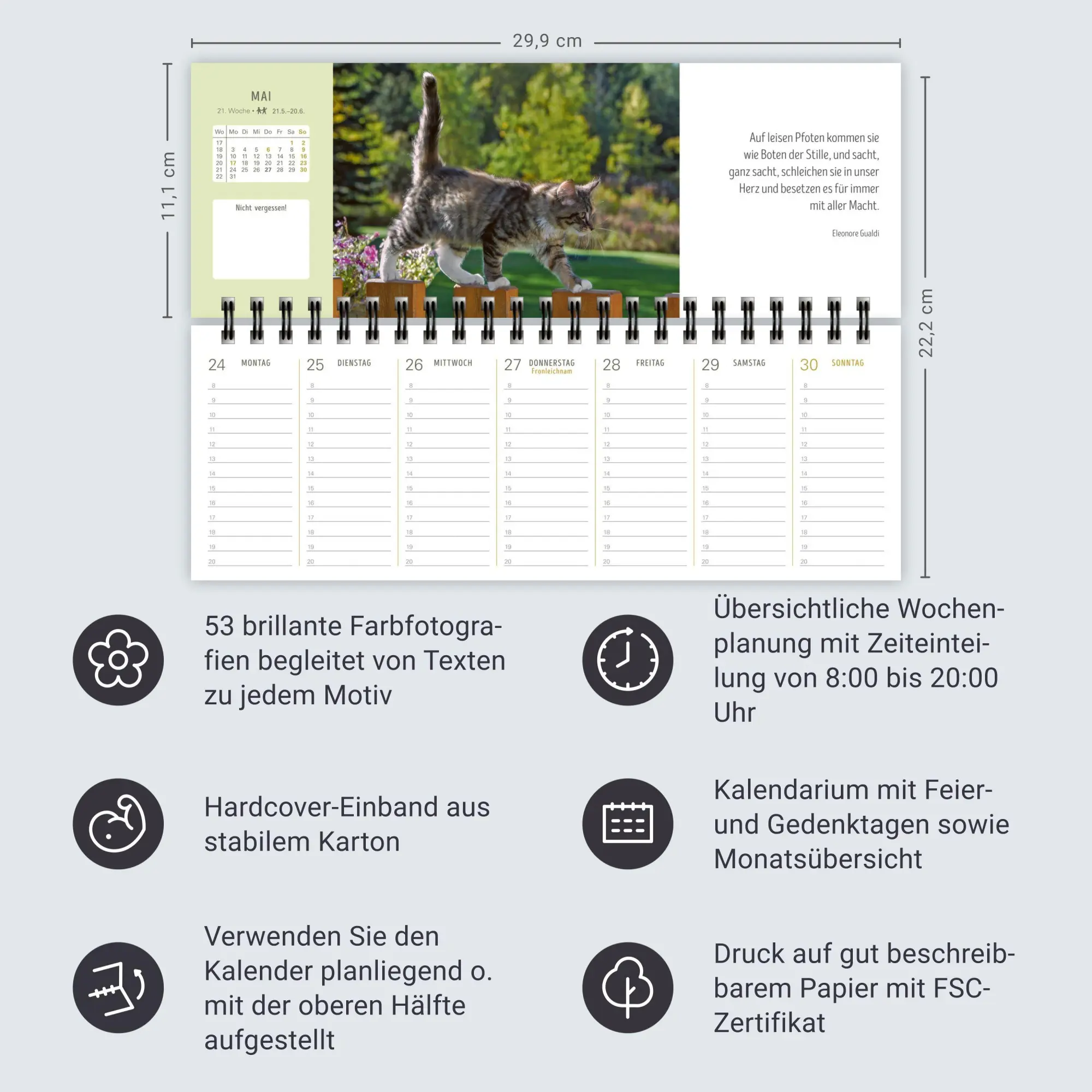 Bild: 9783840038051 | Katzen Premium-Tischplaner 2027 - Der literarische Wochenkalender...
